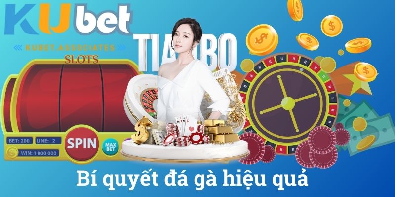 Bí quyết đá gà hiệu quả