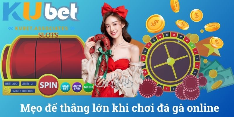 Mẹo để thắng lớn khi chơi đá gà online