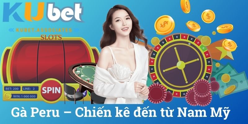 Gà Peru Chiến kê đến từ Nam Mỹ